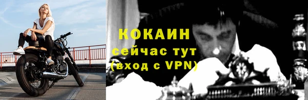 стафф Дмитриев