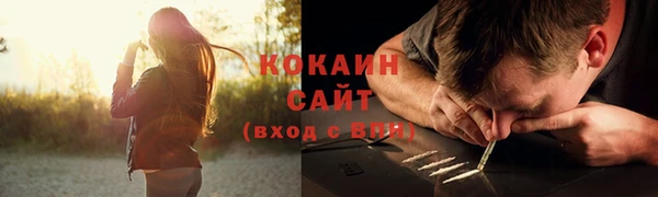 стафф Дмитриев