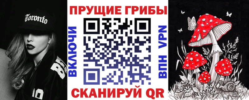 shop состав  Кисловодск  Псилоцибиновые грибы MAGIC MUSHROOMS  даркнет сайт  кракен  